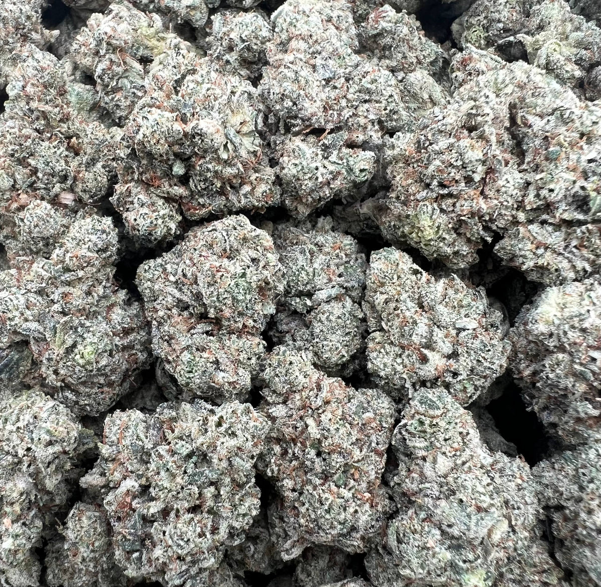 KRAZY GLUE [750]
