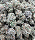 BLUE NERDZ [750]