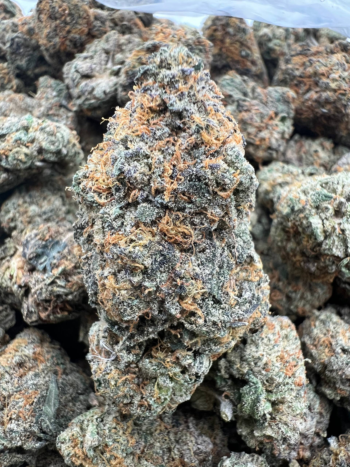 MAC [525]
