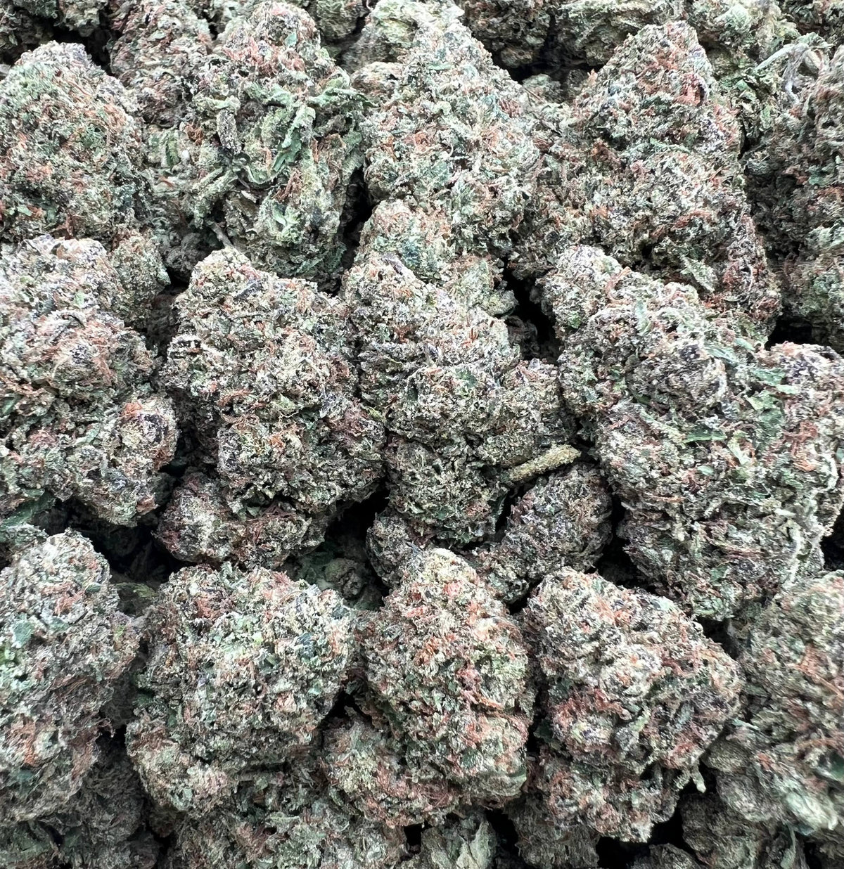 CANDY REIGN [450]