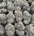 RAINBOW ZOURS [375]