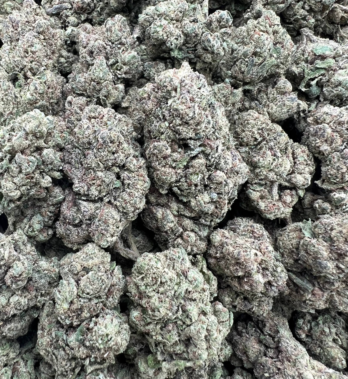 WATERMELON CANDIES [450]