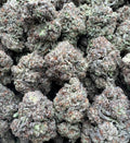 WHITE FROST [375]