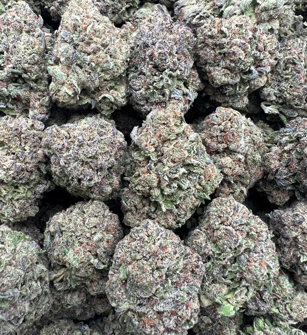 PUNCH SICKLES [400]