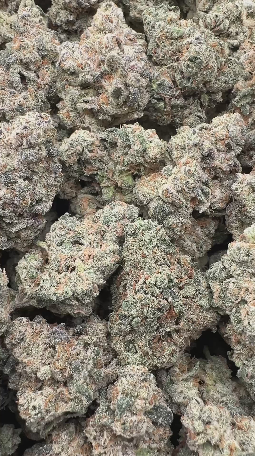 NECTARBERRY [750/850]