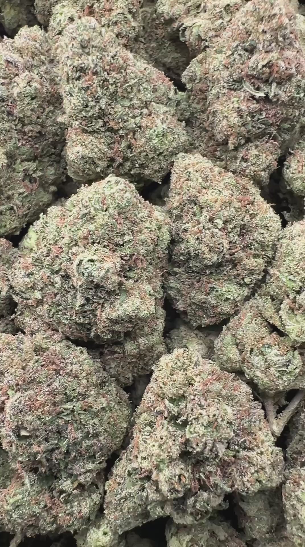 STRAWBERRY ZINGER [525/625]
