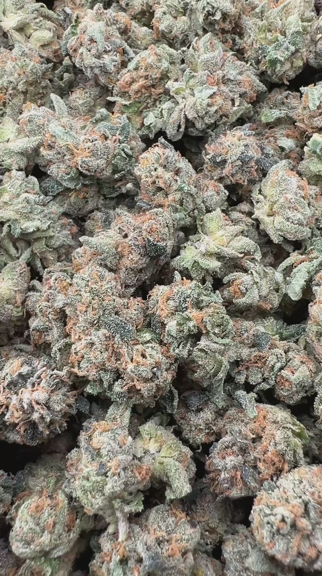 JR CRUNCH BERRIES [700]